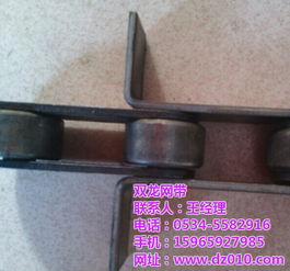 尼龍滾子鏈條與雙龍穿桿網帶的定制 絲網輸送帶的專業(yè)解決方案